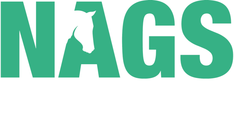 nagscasino.com